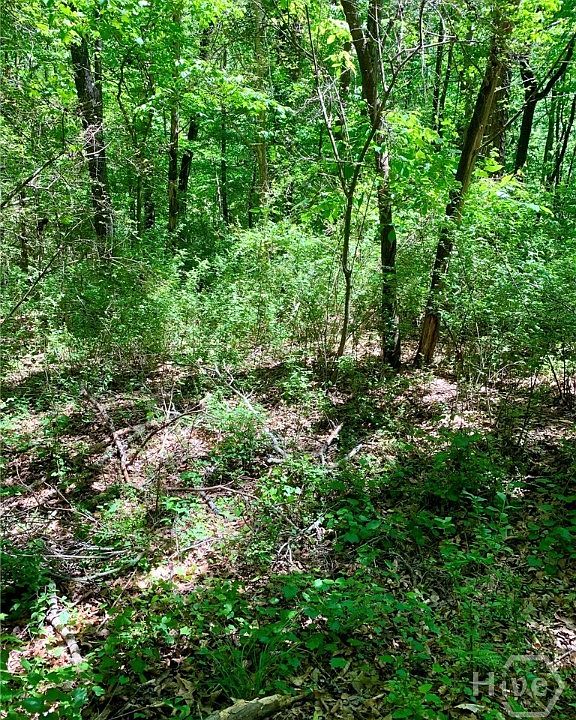 2nd image of 0 S Tanglewood Drive