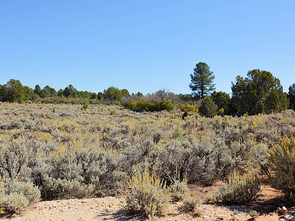 4th image of 2800 County Rd