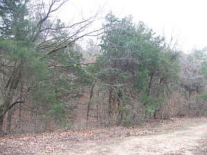 1st image of County Road 250