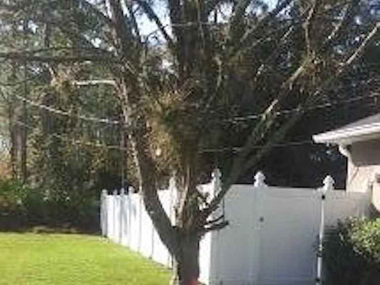 Completely Fenced