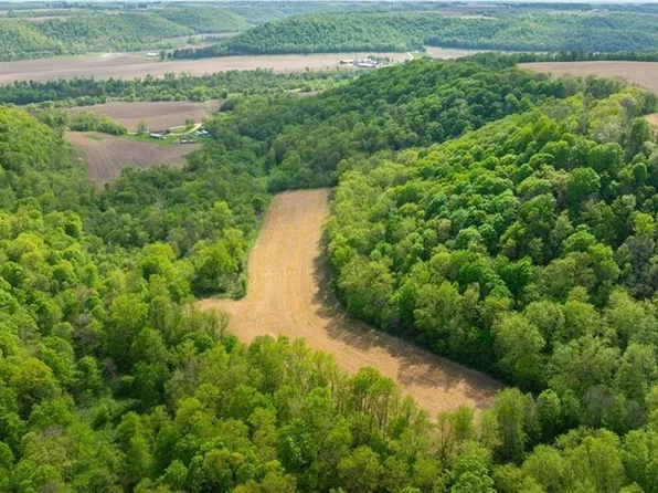 0 145 Avenue, Plum City, WI 54761