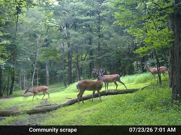 5th image of 3680 Clark Rd
