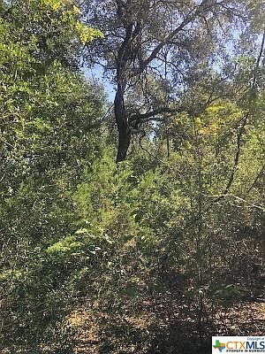 2nd image of 0 County Road 444