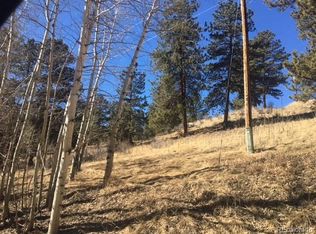 321 E Cline Dr, Bailey, CO 80475