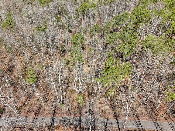 5th image of 512 Sutherland Rd