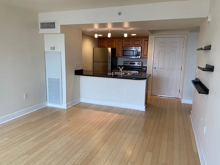 450 N Arlington Ave #307 — Photo 7