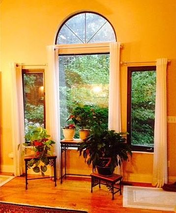 5th image of 800 Arboretum Cir