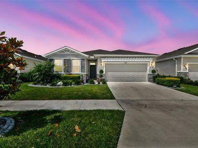 13357 Waterleaf Garden Cir, Riverview, FL, 33579