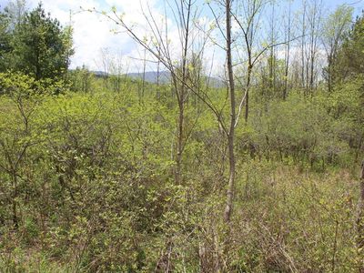 0 State Route 145, Durham, NY, 12422