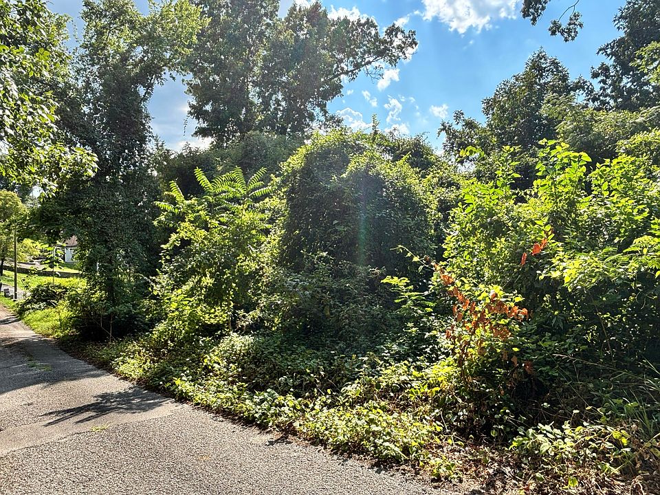 1st image of 319 Mission Crest Ln