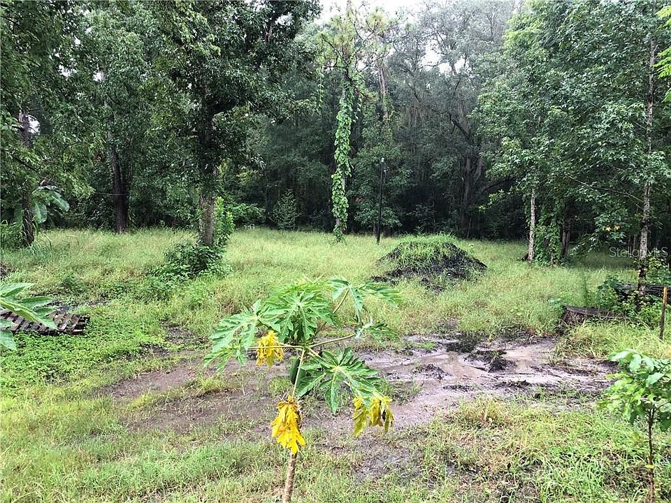 2nd image of Lake Pickett Rd