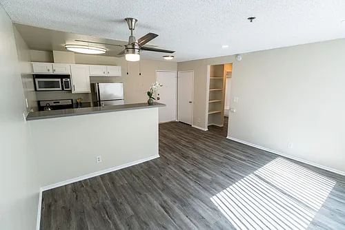 Floor plan 206