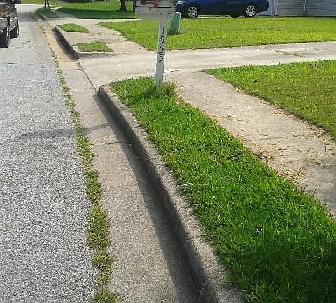 5th image of 1555 Wembley Dr