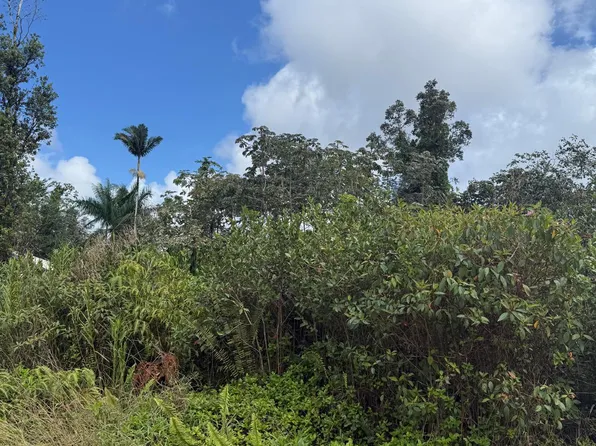 Tree Fern Dr Lot 85, Pahoa, HI 96778