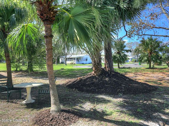 3rd image of 329 Egret Cir