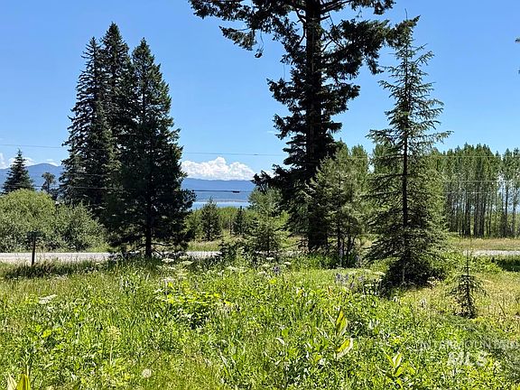 5th image of 1610 Bear Trail Loop