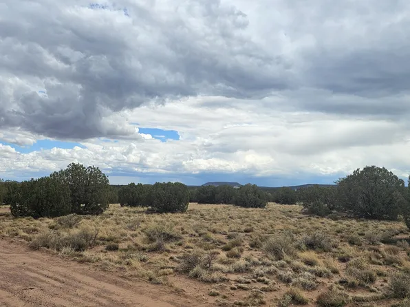 4365 Mountain View Rd, Snowflake, AZ 85937