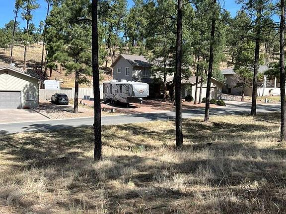 2nd image of 316 White Mountain Meadows Dr #1003062