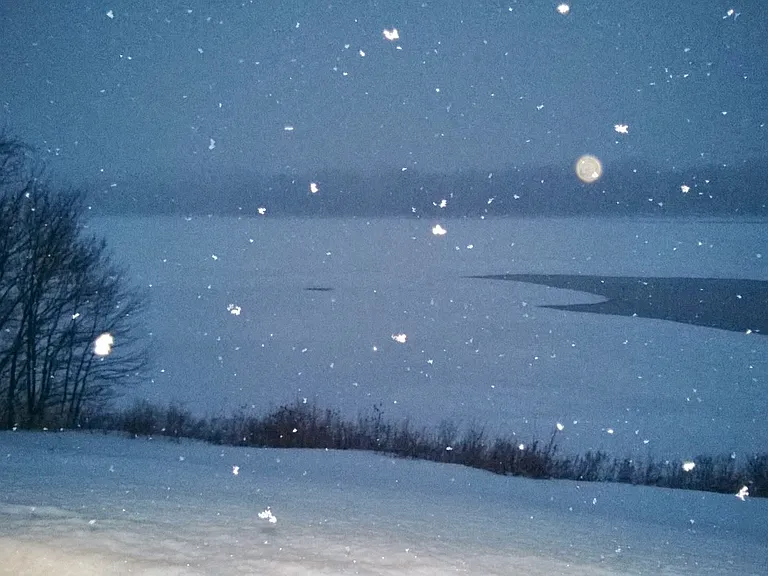 Magical Winter View