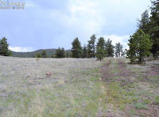 338 Park Ridge Dr, Guffey, CO 80820