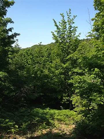 9284 E Hoxie Rd photo 1