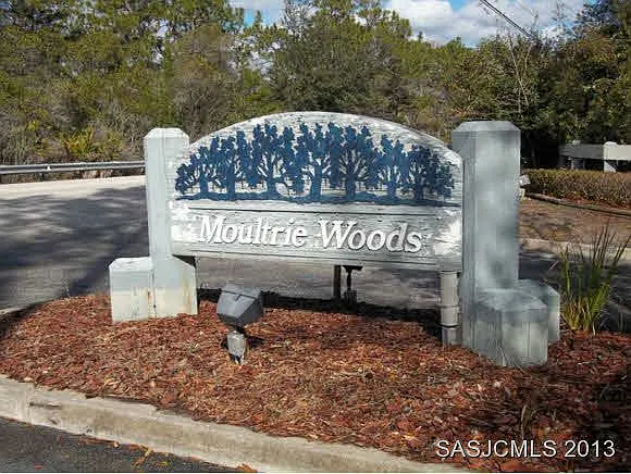 89 Moultrie Creek Cir