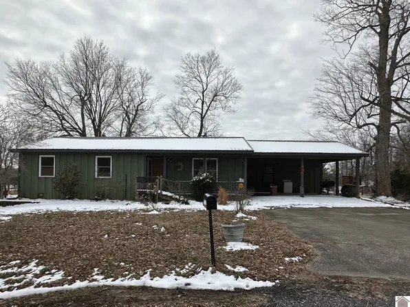 425 Dale Dr, Wingo, KY 42088