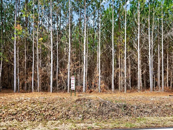 LOT 1A1 Lower Harmony Rd NE, Eatonton, GA 31024