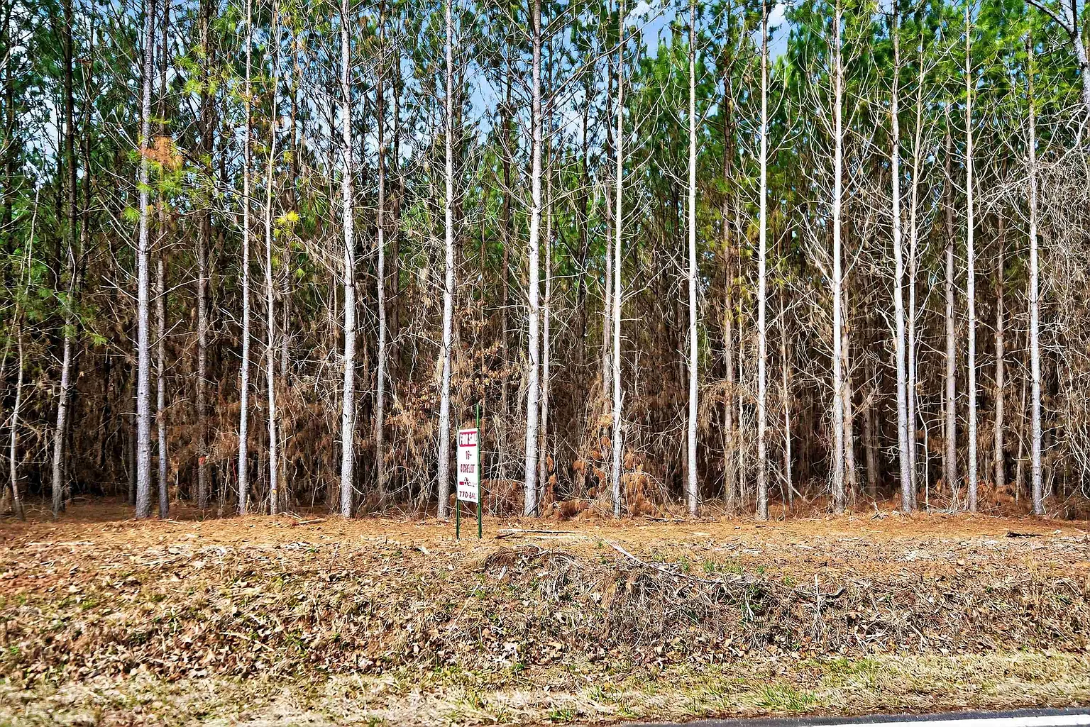LOT 1A1 Lower Harmony Rd NE photo 1