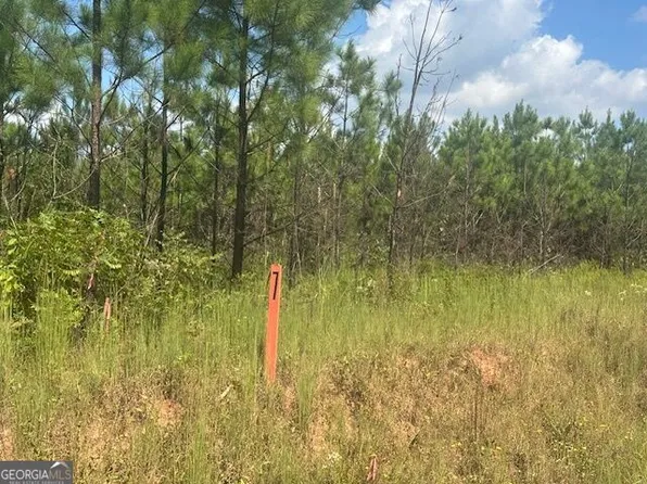 0 Cook Rd Lot 7, Monticello, GA 31064