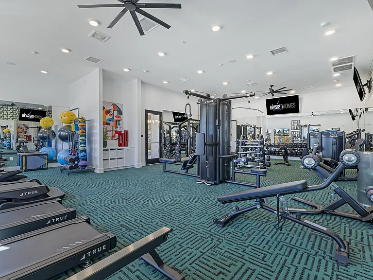 Elysian Homes at Cadence — Photo 20