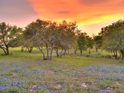 26104 Madison Dr, Spicewood, TX, 78669