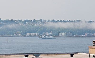 View from Deck