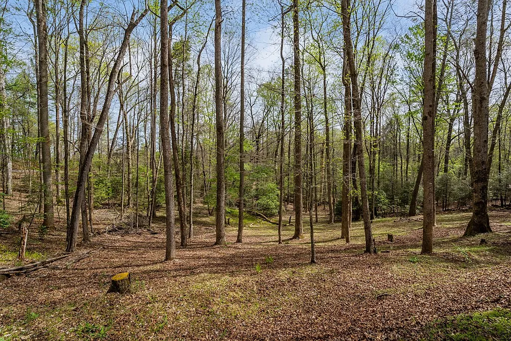 2 bed, 672 sqft, $2,000 — Photo 3