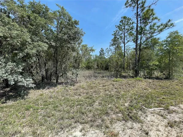 LOT 3 SE 53rd Ln Lot 3, Morriston, FL 32668