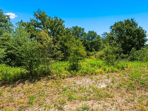 3rd image of County Road 436