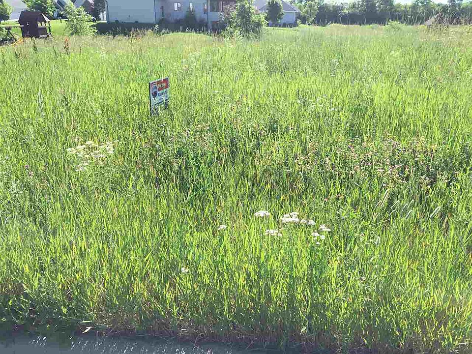 2nd image of LOT 56 Oriole Ln