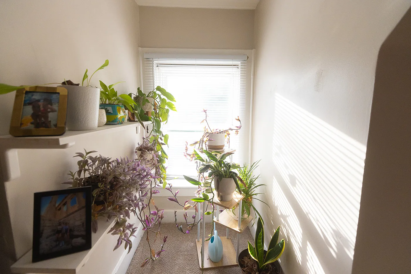 785 Richmond Avenue — Photo 4