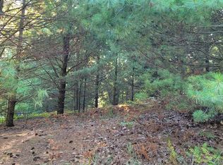 N Juniper St LOT 1, Mears, MI 49436