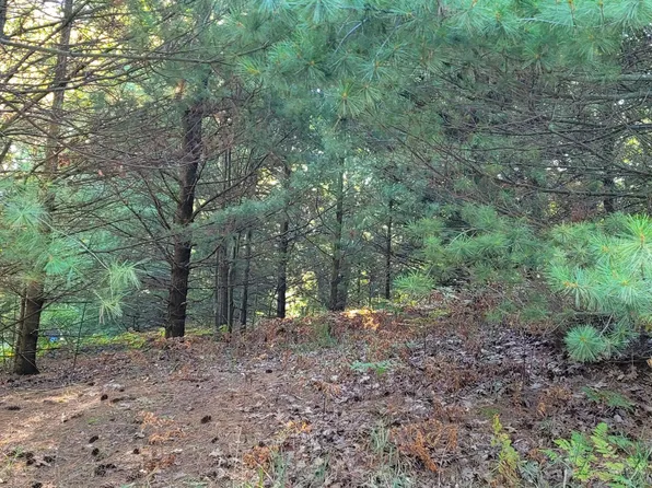 N Juniper St Lot 1, Mears, MI 49436
