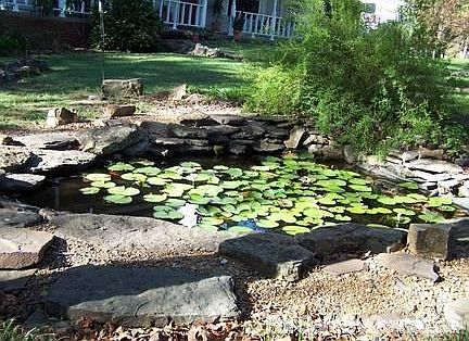 Mature Shrubs and Flower Beds
						:
						Several flower beds are ready for YOUR additional plantings. Pine bark mulch.