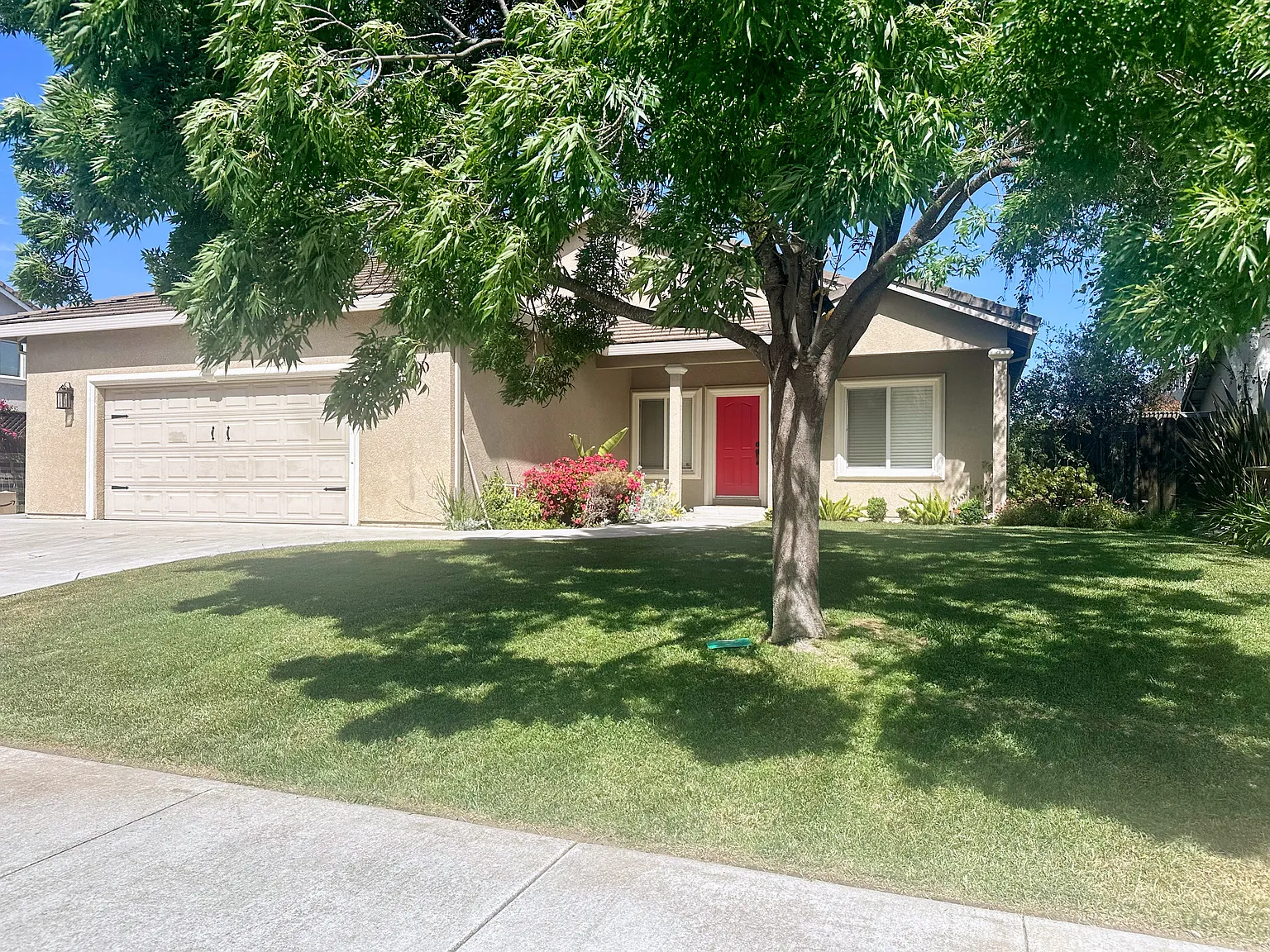 1851 Calistoga Dr photo 1