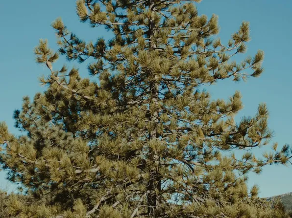 6&7 Joines, Alturas, CA 96101