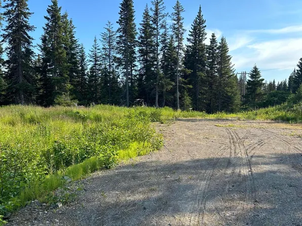 35530 Erin Way, Anchor Pt, AK 99556