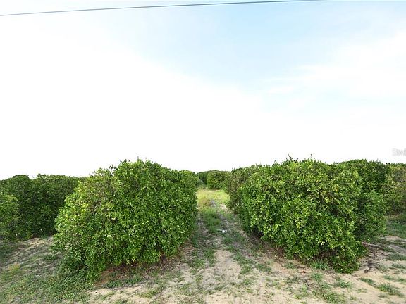 3rd image of 5359 E Johnson Ave