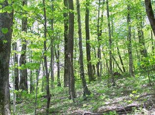 Lot 311 Serenity Mountain Rd #311, Waynesville, NC 28786