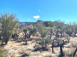 13411 S Sierrita Mountain Rd #497, Tucson, AZ 85736