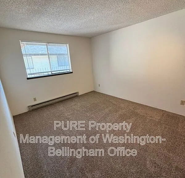 1252 Nevada St #303 — Photo 5