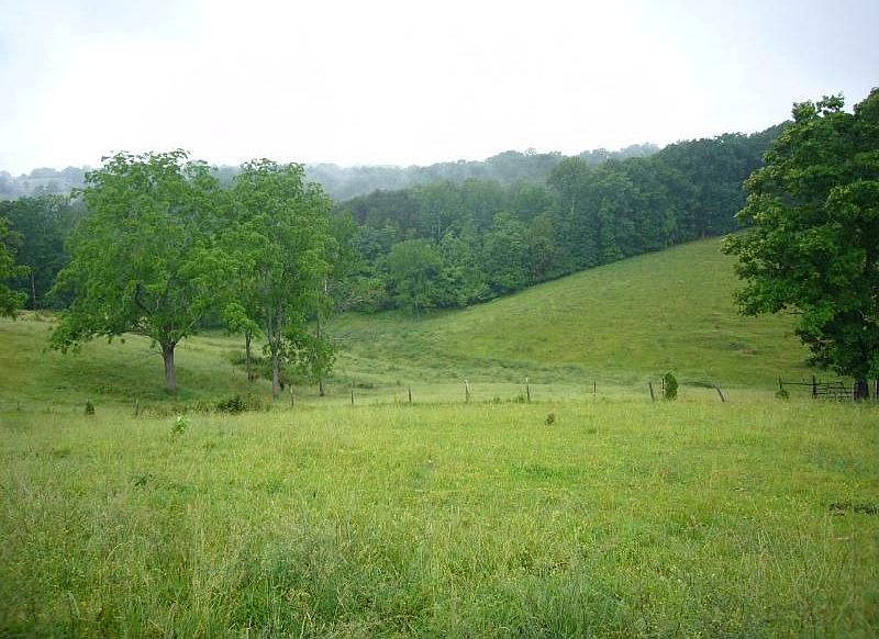 1st image of 2010 Old Oak Ln