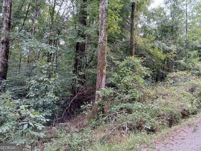 0 Cherry Cir, Lexington, GA, 30648